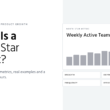 North Star Metric Guide